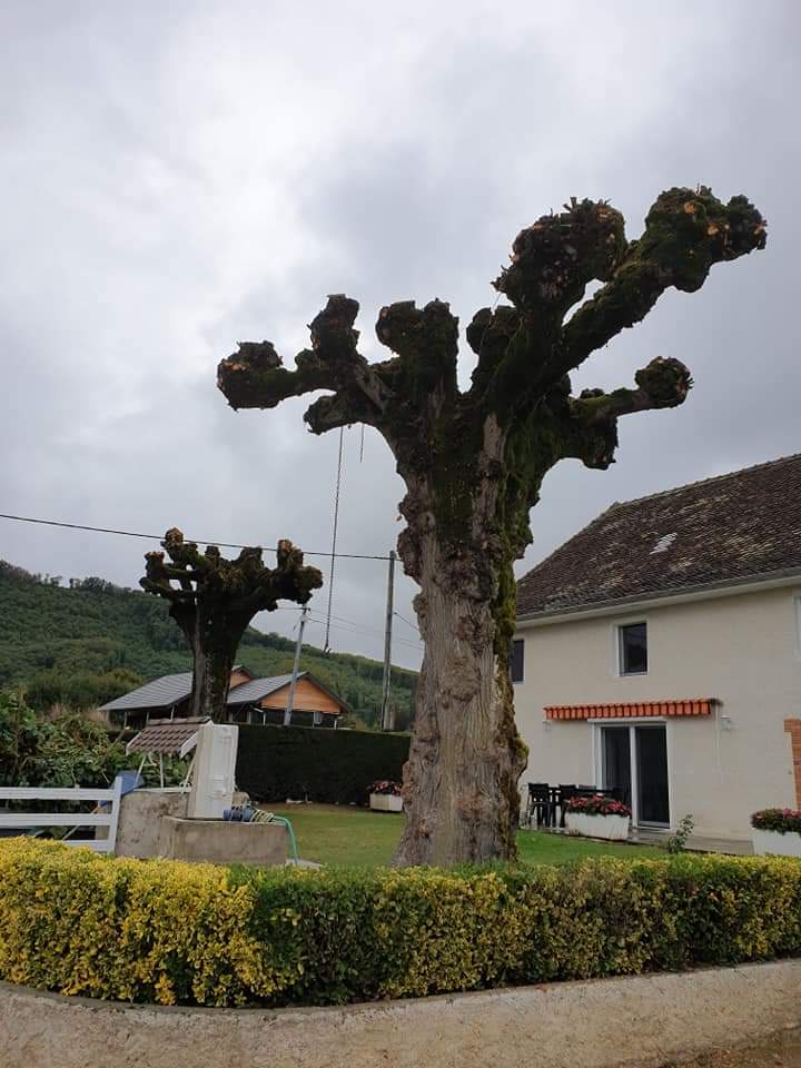 1000 et un services — Photos 1